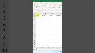 Data Entry Form in excel..Bina coding ka. 