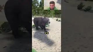 😳ВПЕРВЫЕ УВИДЕЛ ТАКОЕ🐻 