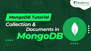 MongoDB Tutorial #03 | What is MongoDB Collections and Documents