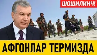 АФҒОНЛАРНИ ТЕРМИЗГА ҚАНДАЙ ЎТАЁТГАНИНИ КУРИНГ