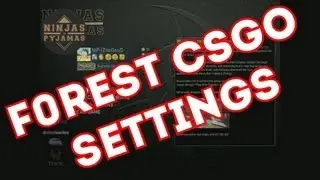 NiP.f0rest CSGO SETTINGS (VIDEO, MOUSE, CONFIG ETC)