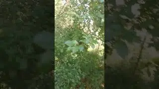 Вкусно