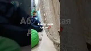 7 января 2022 г.
