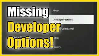 How to See Missing Developer Options on Amazon Firestick 4k Max (Easy Method)