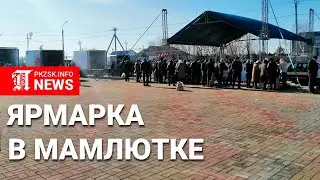 Сельскохозяйственная ярмарка прошла в Мамлютке