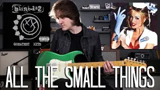 All The Small Things - Blink 182 Cover