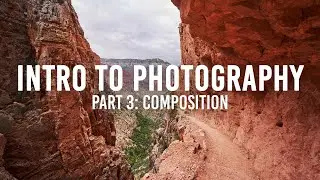 Intro to Photography Part 3 | Composition