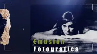 Taller de Fotografia Analógica - HALOS FOTOGRAFIA