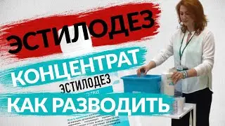 Эстилодез Концентрат Антисептик как разводить ⚕️ Инструкция