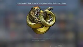[CS:GO] Операция 