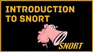 Network Intrusion Detection Systems (SNORT) : IDS/IPS