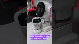Introducing Aibi Robot to RUX Robot 🤖 #Shorts