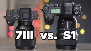 Sony Alpha 7 III vs. Panasonic Lumix S1 | Test | Praxistest | Vergleichstest | deutsch