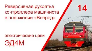 14. Электрические цепи при постановке реверсивной рукоятки в положении «Вперед» электропоезда ЭД4М