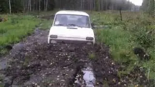 Нива на заболоченной ЛЭП
