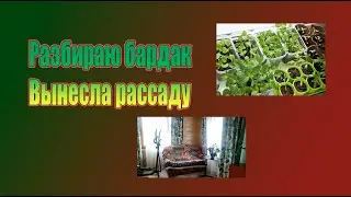 Вынесла рассаду, разобрала бардак, живем дальше