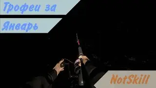 Русская рыбалка 4. Трофеи за январь.
