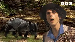Cheeky Didelphodons | Andy's Dinosaur Adventures | Andy's Amazing Adventures