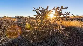 Photography Tutorial: How To Get A Sun Star Effect In Camera