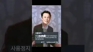 트위터 정지당한 나