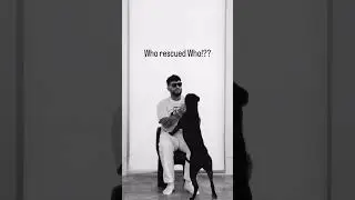 You can’t buy love but you can rescue it 🤠🐕‍🦺  #rescue #rescuedog #gashi