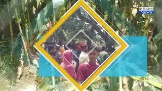 মেয়ের বাড়ীতে যাওয়ার কথা বলে বাড়ী থেকে বের হয়ে আর ফিরেনি, নি'খোঁ'জের ৬ দিন পর মিলল ভুট্টা ক্ষেতে