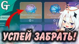 Премогемы для Странника в Геншин Импакт / Обновление Магазина Паймон / Барбара и Кейа