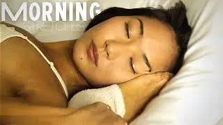 Morning Stretches | cirqueLIFE