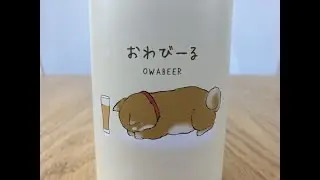 柴犬がごめんね！おわびーるで和ませながら許して！