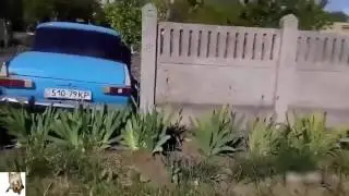 УДИВИТЕЛЬНЫЕ ИДИОТЫ ЗА РУЛЕМ ДЕБИЛЫ ГОДА