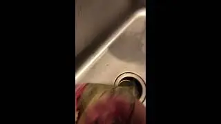 DINOSAUR PUPPET DOES IPHONE MAGIC TRICK (MUST WATCH)