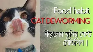 বিড়ালের কৃমি কোর্স নিয়ে যত প্রশ্ন/আমার বিড়ালদের পছন্দের খাবার/ #catdeworming #catfoodhabit