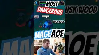 BEST MAGE AoE FARM DUSKWOOD WARGENS in HARDCORE | Pull 4 