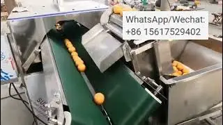 Fruit and Vegetable Halves Cutter with Hoist Pineapple Half Splitting Machine#fruitprocessing