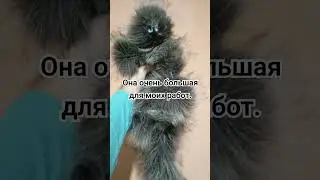 новая игрушка ручной работы. #handmade #смешаннаятехника #ручная_работа #игрушкисвоимируками #чтото