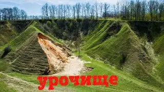 Поиск монет на урочище с металлоискателем тёрка 705