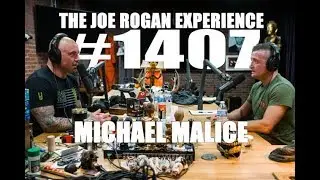 Joe Rogan Experience 