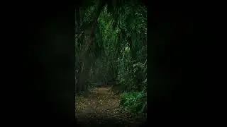 FREE NF Type Beat With Hook 