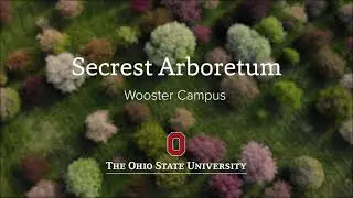 Secrest Arboretum Wooster Campus