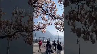 📍Lugano, Switzerland