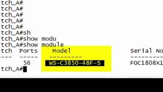 How to create VLAN & Assign Switch port To Specific VLAN - Cisco 3850 | CCNA Online Training Video