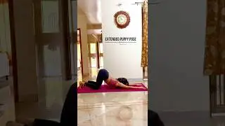 Variation of puppy pose #shorts #ytshorts #yoga