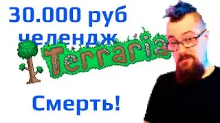 Челендж за 30.000 рублей. Целый день Террари без смертей