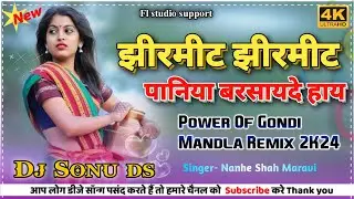 झीरमीट झीरमीट पानिया बरसायदे हाय | Power Of Gondi 2024 | नन्हे शाह मरावी |