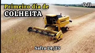 ☑️ Olhando a colheita do alto - Soja Pioneer!!!