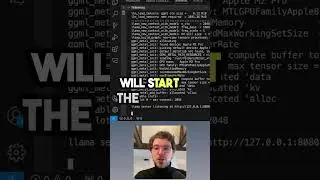 Run LLMs on your OWN computer  #llm #genai #coding  #python