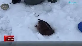 РЫБАЛКА С СЮРПРИЗОМ