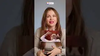 Вертолёт с икрой и аромасвечи! Сергей Шнуров разгулялся в райдере!  
