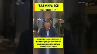 Депутат Европарламента: Украине нужен мира, а не поставки нового оружия!