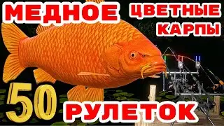 МЕДНОЕ ЛОВИМ ЦВЕТНЫЕ КАРПЫ 🎁 РОЗЫГРЫШИ И ТУРНИРЫ 🔴 В  РУЛЕТКЕ - РАПТОР, ВЕНГА, ТАЙГА 💥СТРИМ РР4
